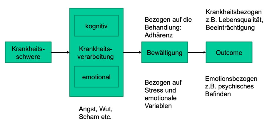 Skizziere das Common Sense Model of Illness Representation